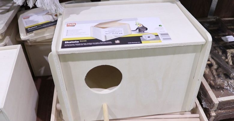 How to make budgie nest box