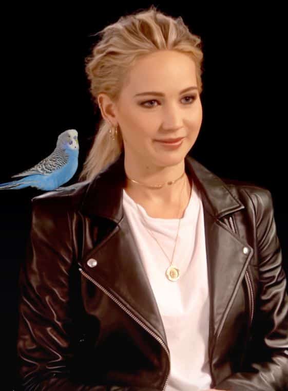 Jennifer_Lawrence budgie superstar