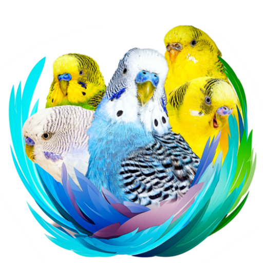 Budgie Nation Community
